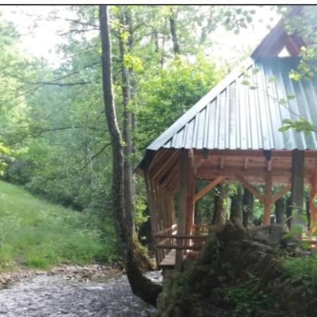 فندق Eco Camp Dzogaska Vrela بلييفليا المظهر الخارجي الصورة