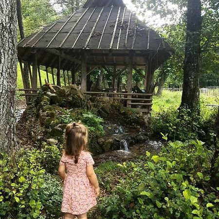 فندق Eco Camp Dzogaska Vrela بلييفليا المظهر الخارجي الصورة