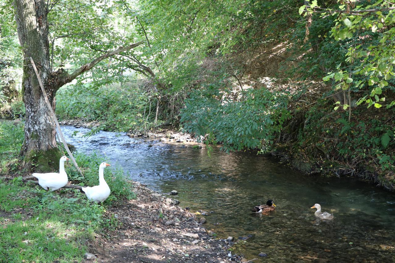 فندق Eco Camp Dzogaska Vrela بلييفليا المظهر الخارجي الصورة