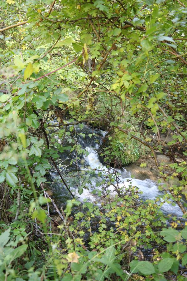 فندق Eco Camp Dzogaska Vrela بلييفليا المظهر الخارجي الصورة