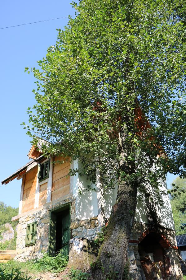 فندق Eco Camp Dzogaska Vrela بلييفليا المظهر الخارجي الصورة