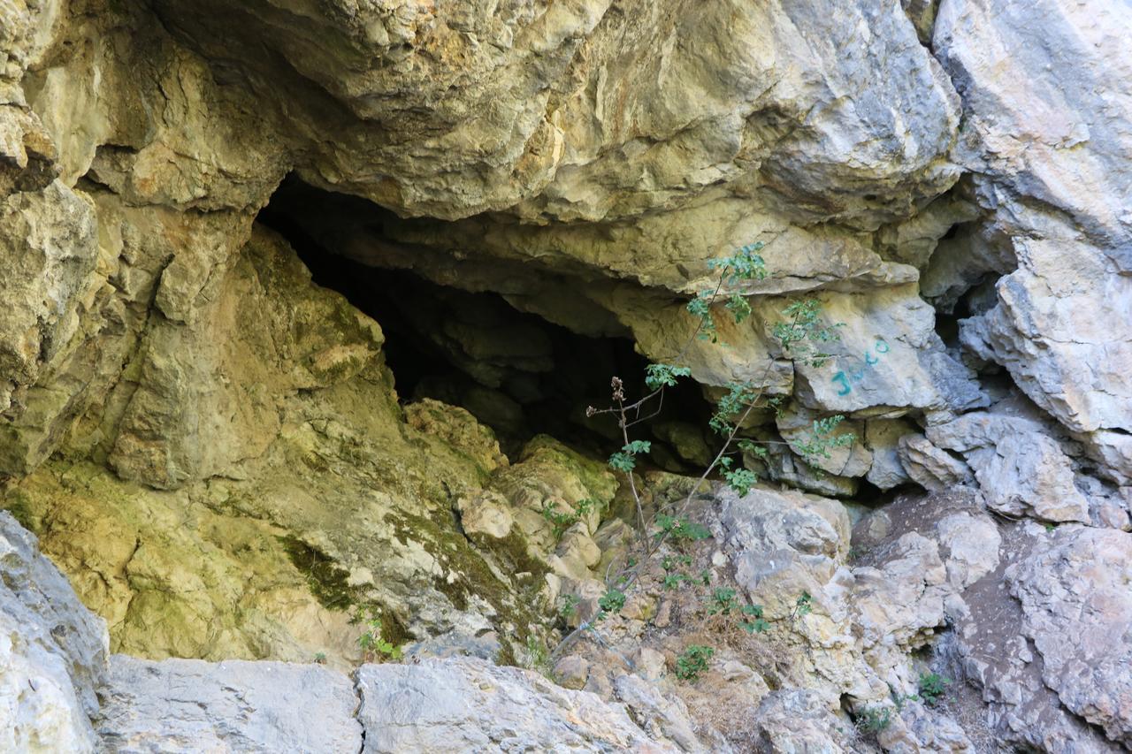 فندق Eco Camp Dzogaska Vrela بلييفليا المظهر الخارجي الصورة