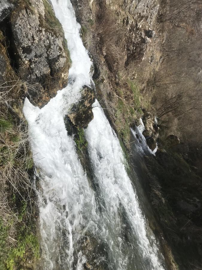 فندق Eco Camp Dzogaska Vrela بلييفليا المظهر الخارجي الصورة