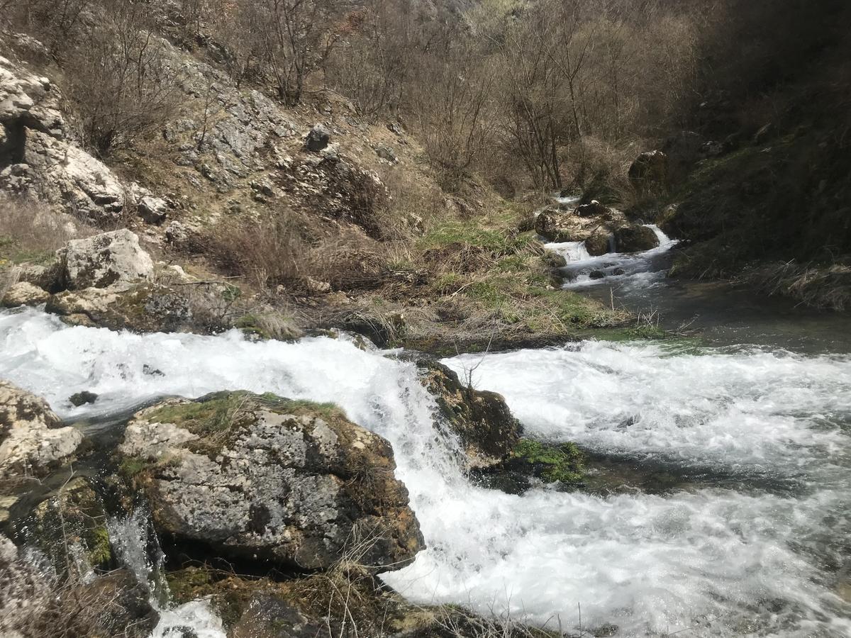 فندق Eco Camp Dzogaska Vrela بلييفليا المظهر الخارجي الصورة