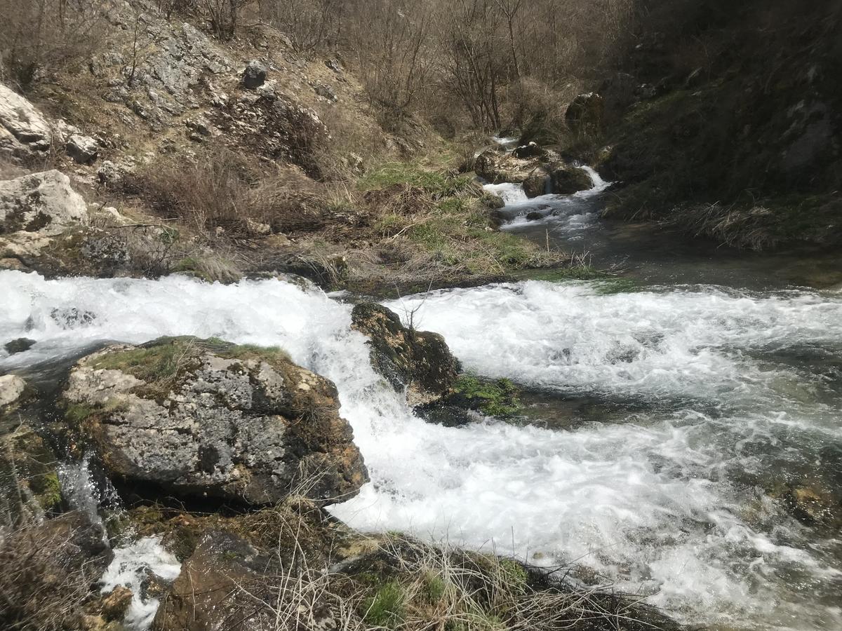 فندق Eco Camp Dzogaska Vrela بلييفليا المظهر الخارجي الصورة